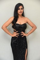 Gehna Sippy Gallery